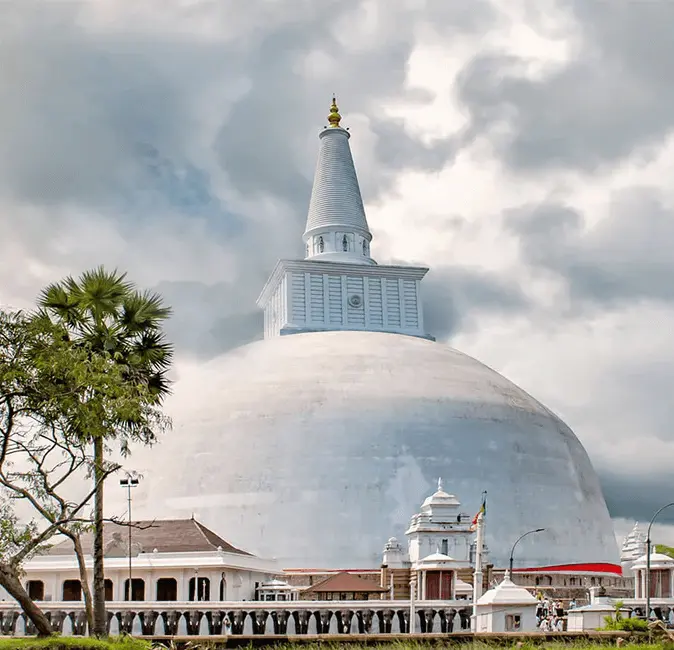 Untitled-1_ceaf45a1-60db-4c8d-94c6-e420a03d1ffb (1)